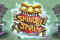 You can play the slot of Shinobi Spirit here.