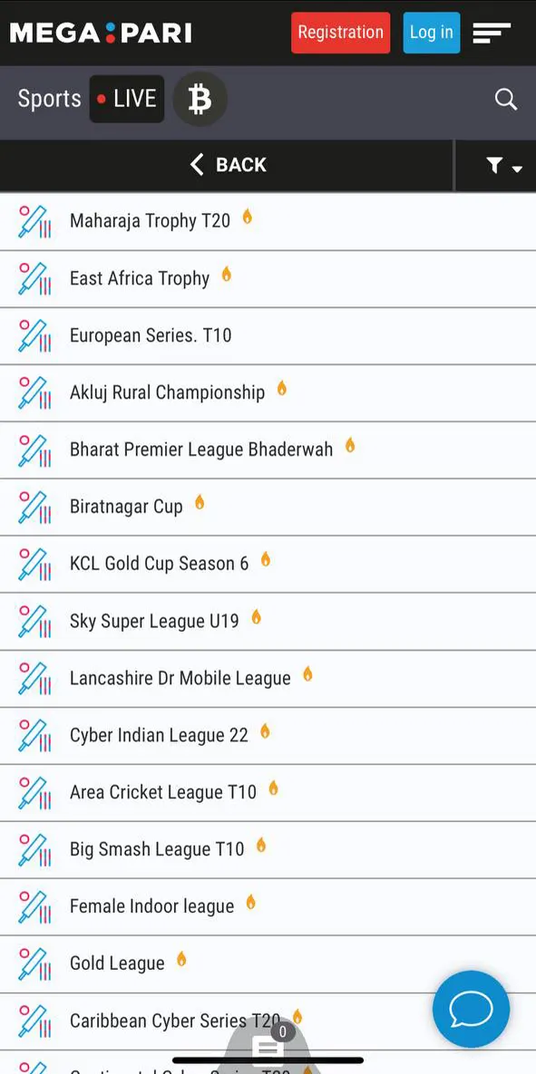 Place your cricket bets on the Megapari mobile app.