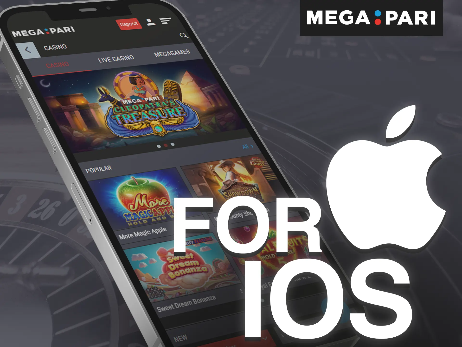 Install the Megapari app on your iOS device.