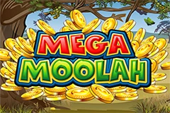 You can play the slot of Mega Moolah here.