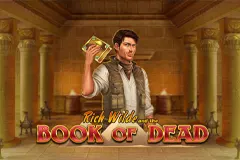 Enjoy playing the Book of Dead free slot.