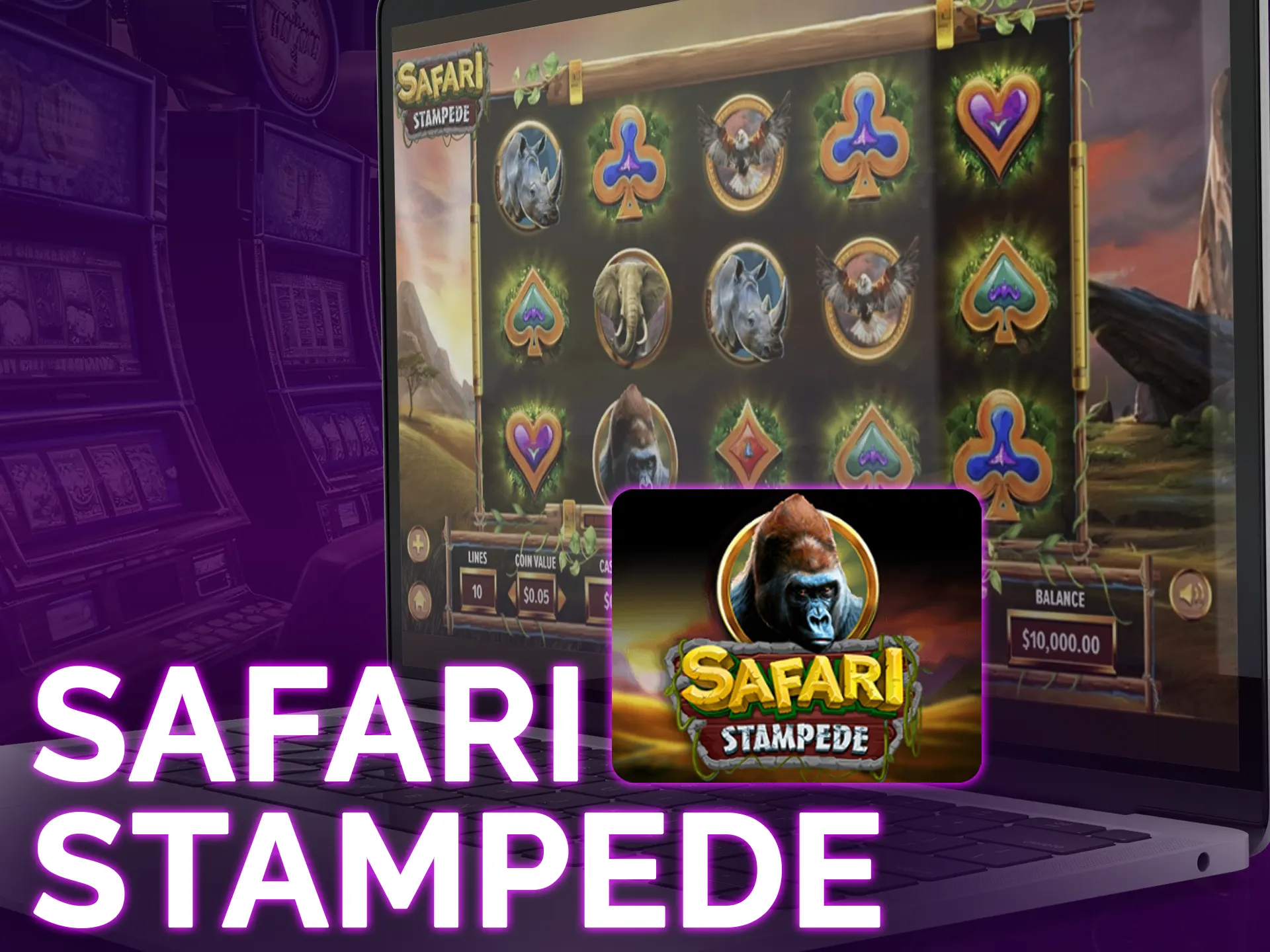Embark on a thrilling safari with Dragon Gaming's Safari Stampede.