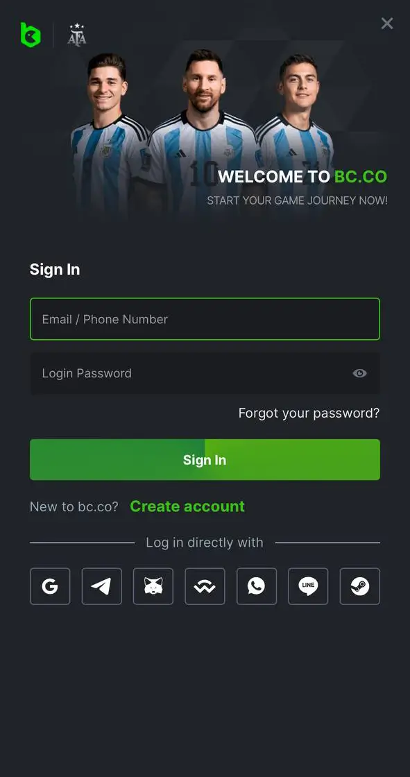 Form for logging in to your personal account in the BC.Game app.